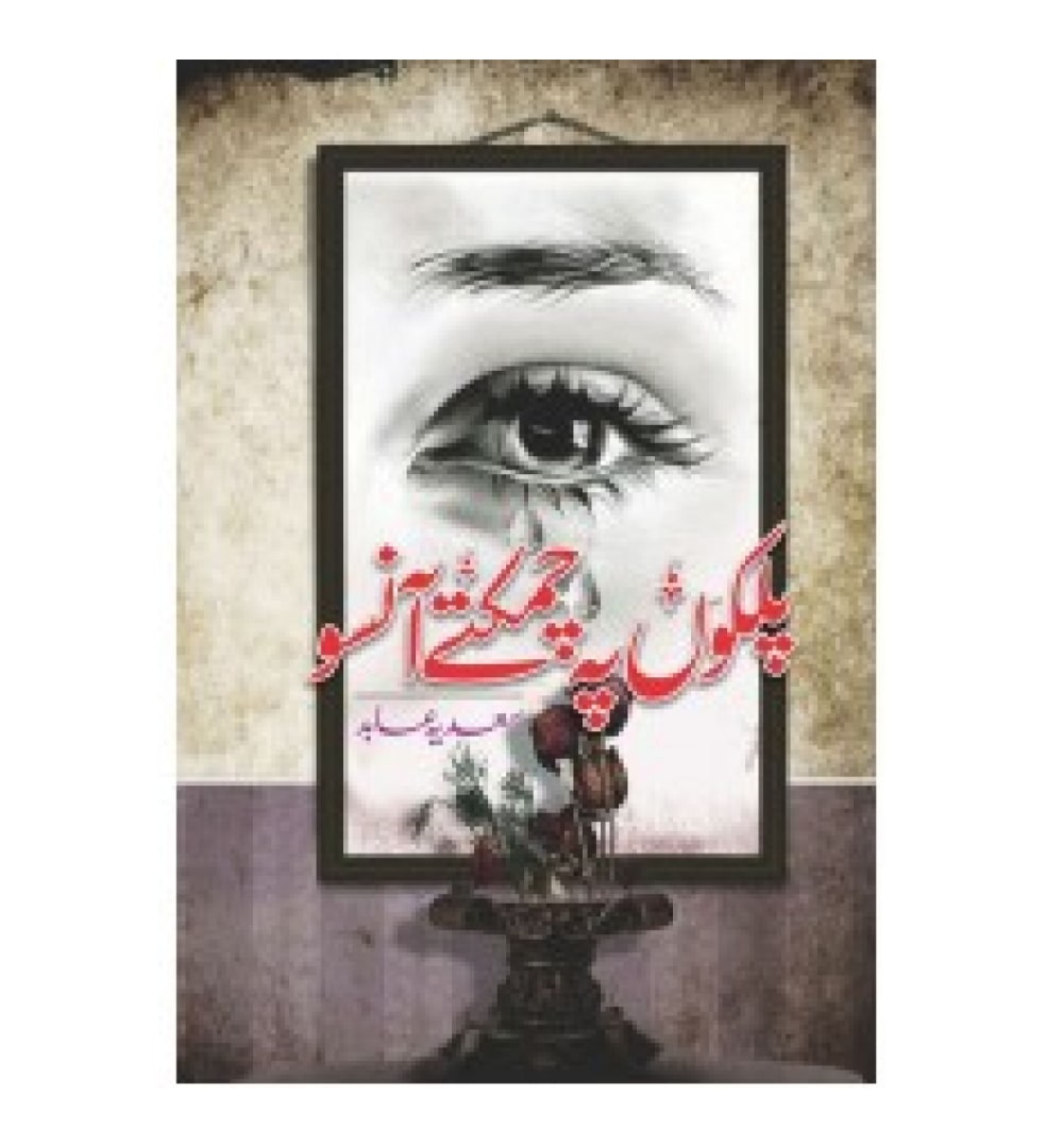 palkon-pe-chamakte-ansoo-novel-onilnebooksoutlet.jpeg